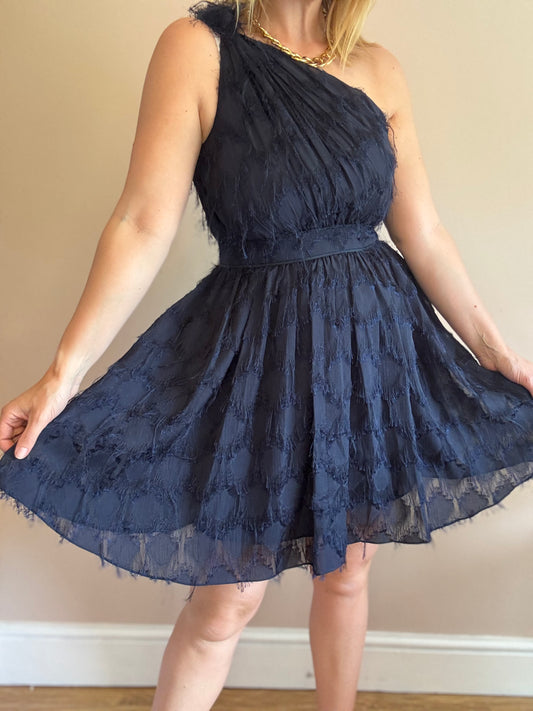 Whistles Dress